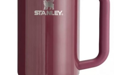 Grab a New Stanley at Target! Exclusive Colors Released!